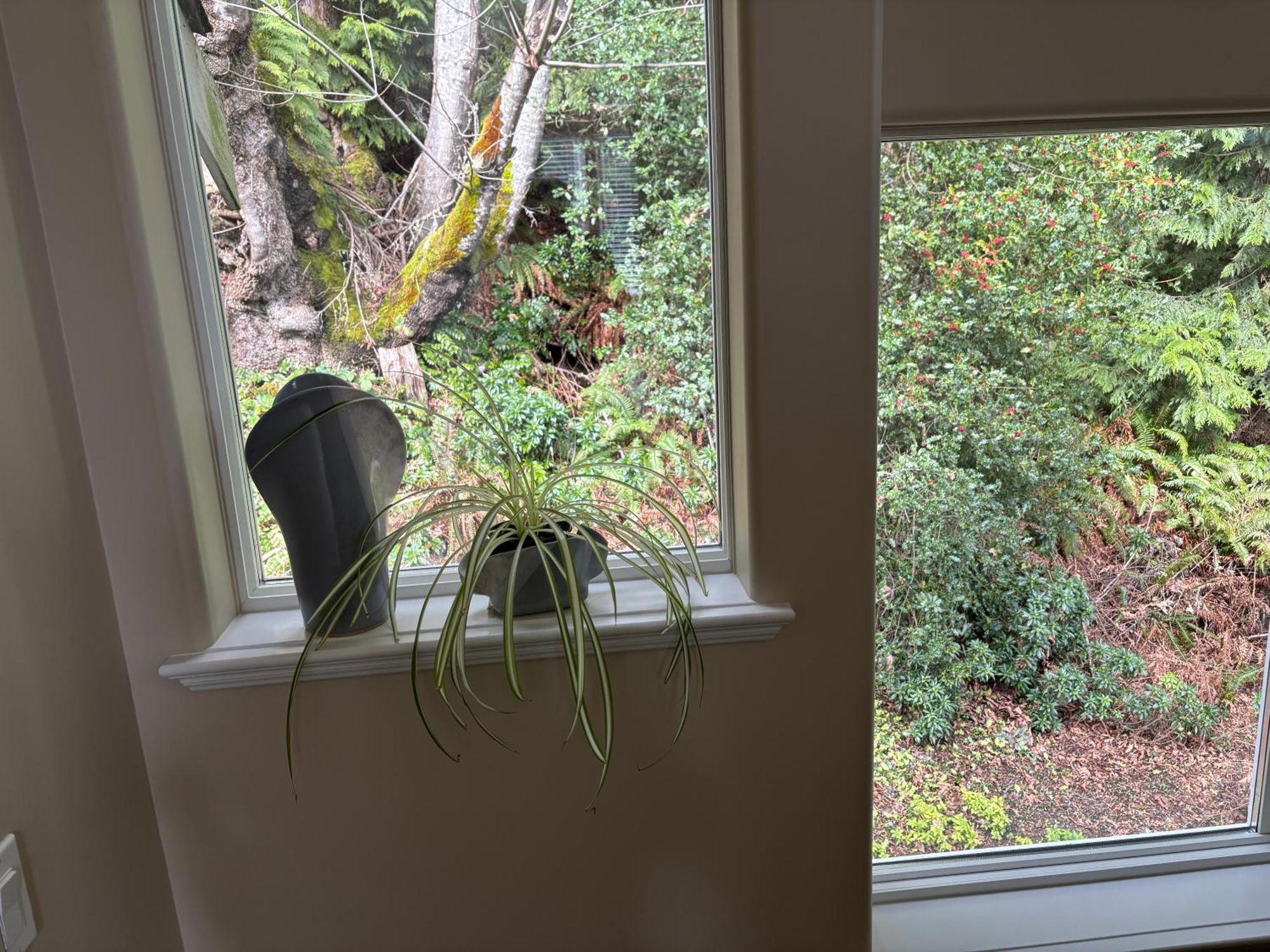 Sea And Cedar Retreat-A Home In A Tranquil Setting Cowichan Bay Exterior photo